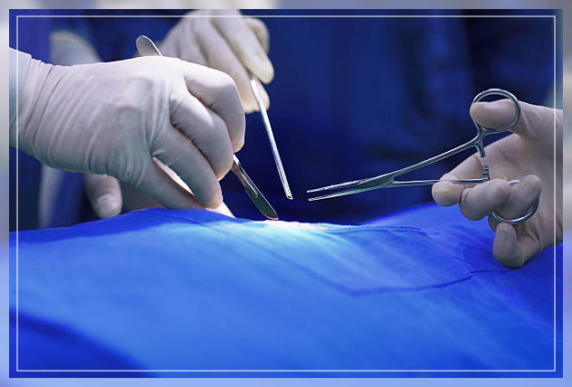 Surgical scissors 6