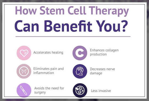 stem cells 2